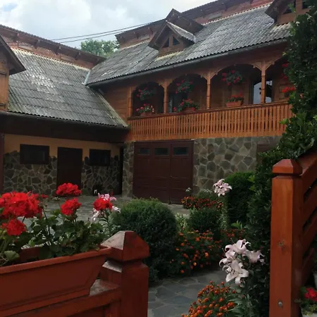 Pensiunea Alina Séjour à la ferme Poienile Izei